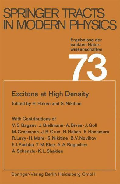 Produktbild: Excitons at High Density