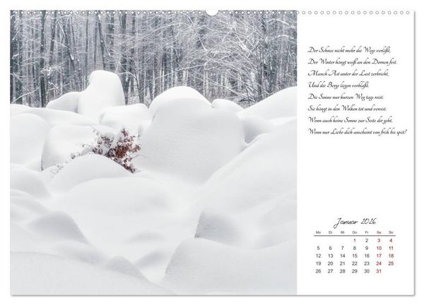 Produktbild: Max Dauthendey - Mit der Natur durchs Jahr (Wandkalender 2026 DIN A2 quer), CALVENDO Monatskalender