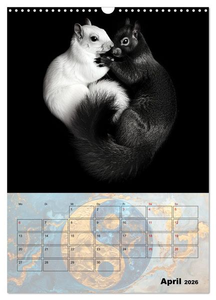 Produktbild: Sei das Yin zu meinem Yang (Wandkalender 2026 DIN A3 hoch), CALVENDO Monatskalender