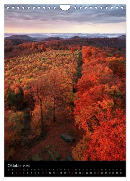 Produktbild: NATURWUNDER PF&Auml;LZERWALD (Wandkalender 2026 DIN A4 hoch), CALVENDO Monatskalender