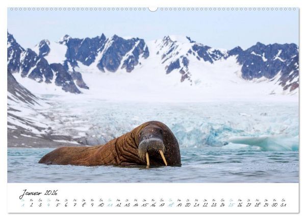 Produktbild: Heike Odermatt: 80&deg; Nord - Fotografien von Spitzbergen und Nordaustland (hochwertiger Premium Wandkalender 2026 DIN A2 quer), Kunstdruck in Hochglanz