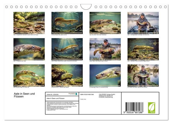 Produktbild: Aale in Seen und Fl&uuml;ssen (Wandkalender 2027 DIN A4 quer), CALVENDO Monatskalender
