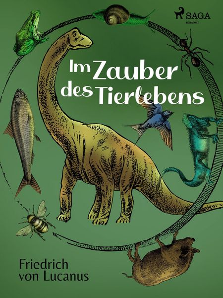 Produktbild: Im Zauber des Tierlebens