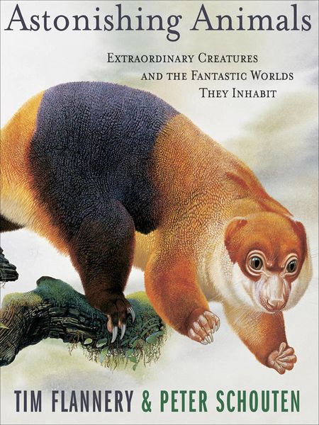 Produktbild: Astonishing Animals