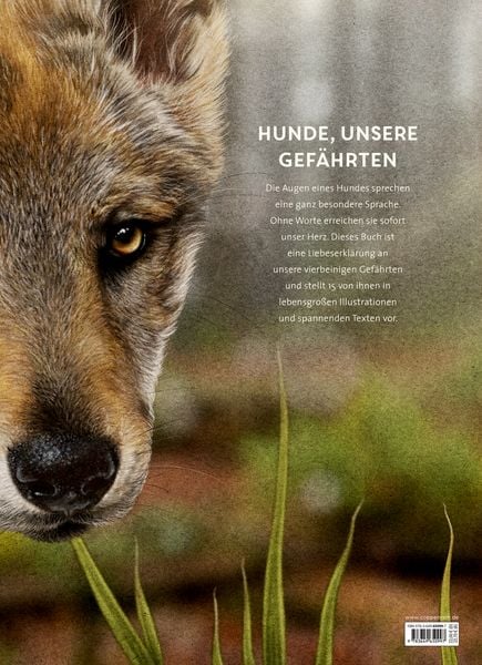 Produktbild: Lebensgro&szlig;