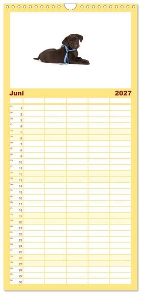 Produktbild: Familienplaner 2027 - Labrador - Welpen mit 5 Spalten (Wandkalender, 21 x 45 cm) CALVENDO
