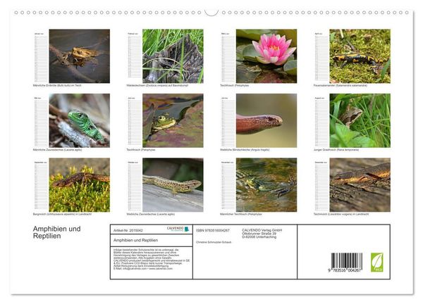 Produktbild: Amphibien und Reptilien (hochwertiger Premium Wandkalender 2026 DIN A2 quer), Kunstdruck in Hochglanz