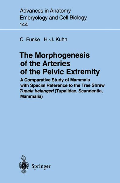 Produktbild: The Morphogenesis of the Arteries of the Pelvic Extremity