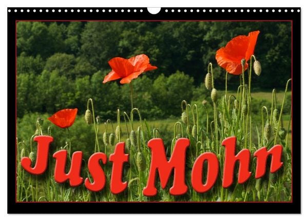 Produktbild: Just Mohn (Wandkalender 2026 DIN A3 quer), CALVENDO Monatskalender