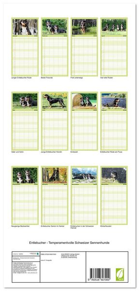 Produktbild: Familienplaner 2026 - Entlebucher - Temperamentvolle Schweizer Sennenhunde mit 5 Spalten (Wandkalender, 21 x 45 cm) CALVENDO
