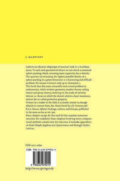 Produktbild: Perfect Lattices in Euclidean Spaces