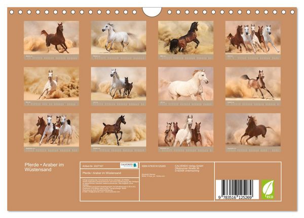 Produktbild: Pferde &bull; Araber im W&uuml;stensand (Wandkalender 2026 DIN A4 quer), CALVENDO Monatskalender