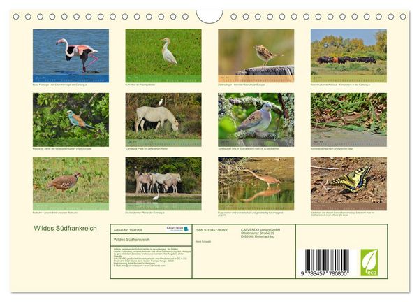 Produktbild: Wildes S&uuml;dfrankreich (Wandkalender 2026 DIN A4 quer), CALVENDO Monatskalender