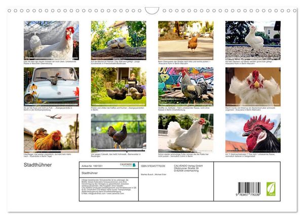 Produktbild: Stadth&uuml;hner (Wandkalender 2026 DIN A3 quer), CALVENDO Monatskalender