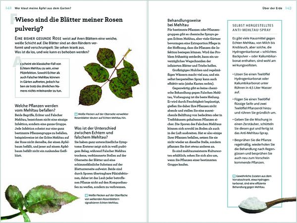 Produktbild: Wer klaut meine &Auml;pfel aus dem Garten