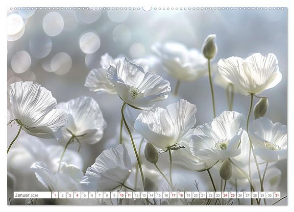 Produktbild: Bezaubernde Mohnblumen (hochwertiger Premium Wandkalender 2026 DIN A2 quer), Kunstdruck in Hochglanz