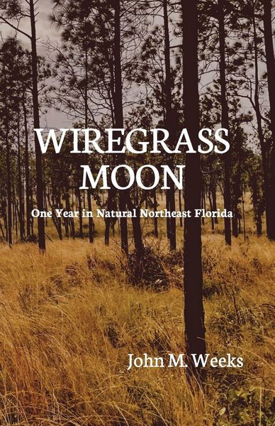 Produktbild: Wiregrass Moon