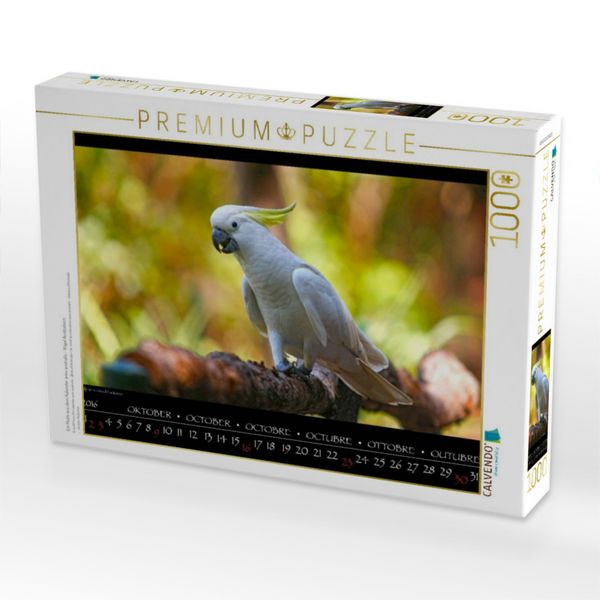 Produktbild: CALVENDO Puzzle Ein Motiv aus dem Kalender aves australis - V&ouml;gel Australiens | 1000 Teile Lege-Gr&ouml;&szlig;e 64x48cm Foto-Puzzle f&uuml;r gl&uuml;ckliche Stunden