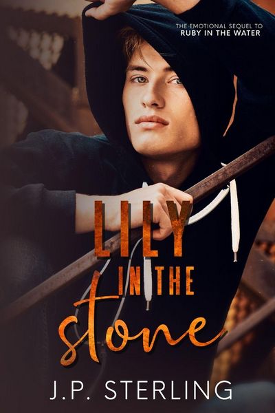 Produktbild: Lily in the Stone