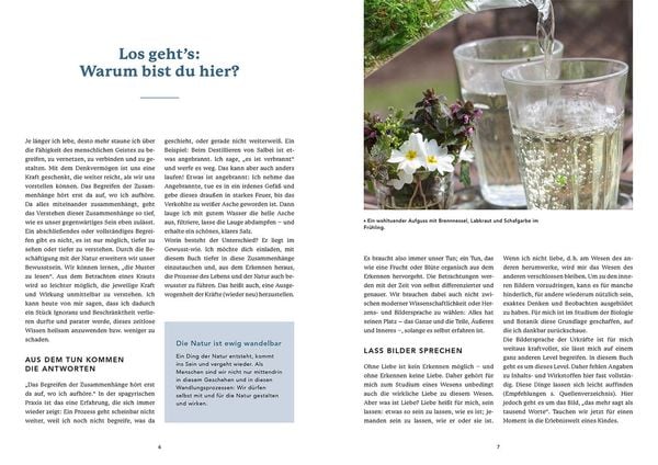 Produktbild: Die Urkraft der Planeten in den Pflanzen