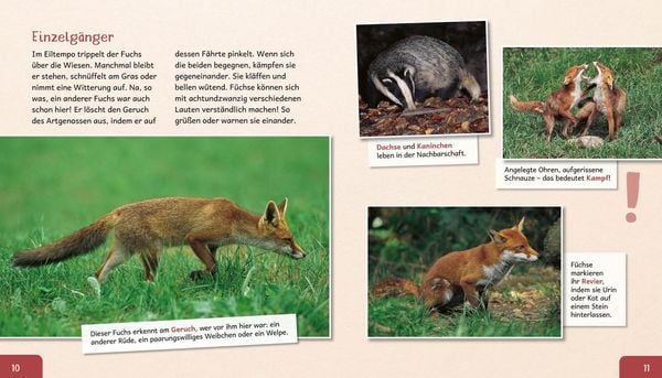 Produktbild: Meine große Tierbibliothek: Der Fuchs