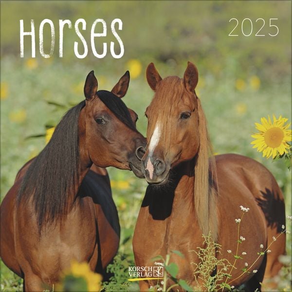 Horses 2025