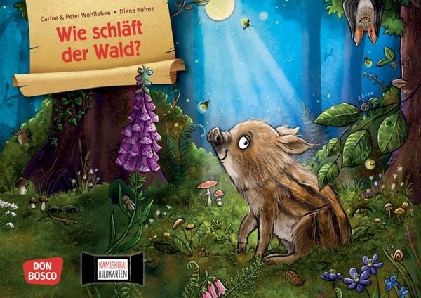 Produktbild: Wie schl&auml;ft der Wald? Kamishibai Bildkartenset