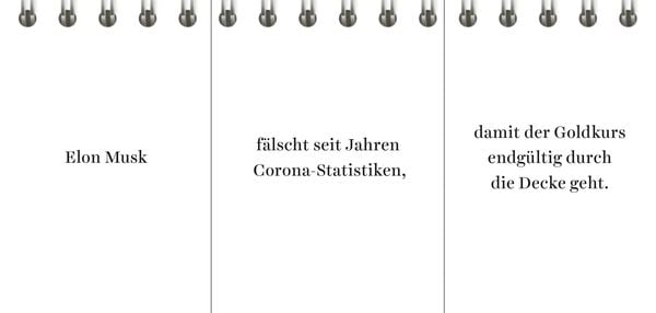 Produktbild: Der Desinformator