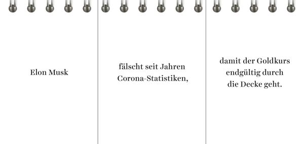 Der Desinformator