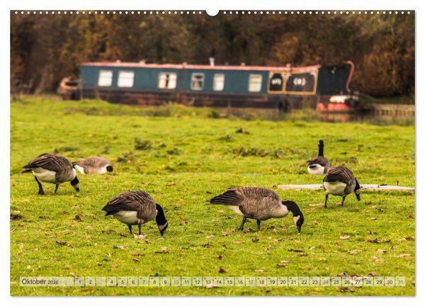 Produktbild: Narrow Boating auf dem Grand Union Canal (hochwertiger Premium Wandkalender 2026 DIN A2 quer), Kunstdruck in Hochglanz