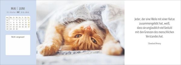 Produktbild: Katzen Premium-Tischplaner 2027 - Der literarische Wochenkalender mit Zitaten