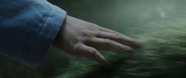 Produktbild: Elliot, der Drache