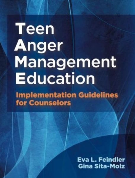 Produktbild: Feindler, E: Teen Anger Management Education