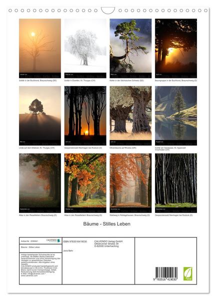 Produktbild: B&auml;ume - Stilles Leben (Wandkalender 2026 DIN A3 hoch), CALVENDO Monatskalender