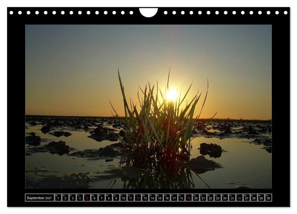 Produktbild: Licht &uuml;ber Dithmarschen (Wandkalender 2027 DIN A4 quer), CALVENDO Monatskalender