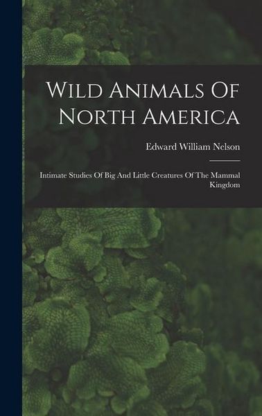 Produktbild: Wild Animals Of North America: Intimate Studies Of Big And Little Creatures Of The Mammal Kingdom