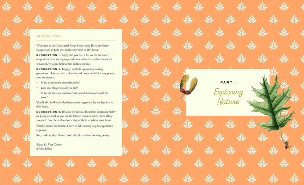 Produktbild: The Illustrated Robert Frost