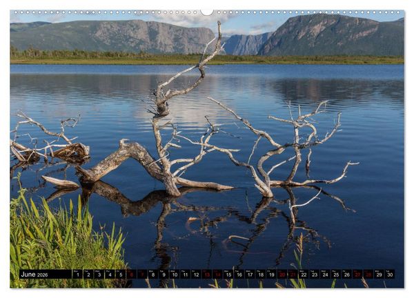 Produktbild: Island of Newfoundland (High Quality Premium Wall Calendar 2026 DIN A2 landscape),CALVENDO 12 Month Wall Calendar