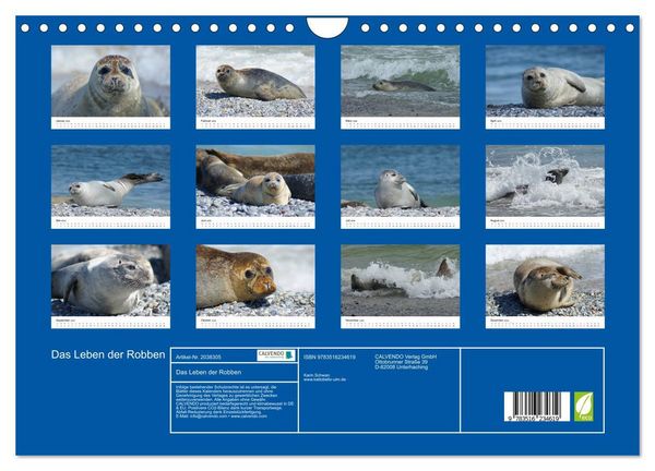 Produktbild: Das Leben der Robben (Wandkalender 2026 DIN A4 quer), CALVENDO Monatskalender