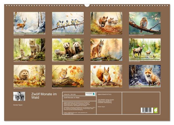 Produktbild: Zw&ouml;lf Monate im Wald (Wandkalender 2026 DIN A2 quer), CALVENDO Monatskalender