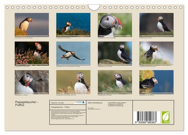 Produktbild: Papageitaucher - Puffins (Wandkalender 2027 DIN A4 quer), CALVENDO Monatskalender