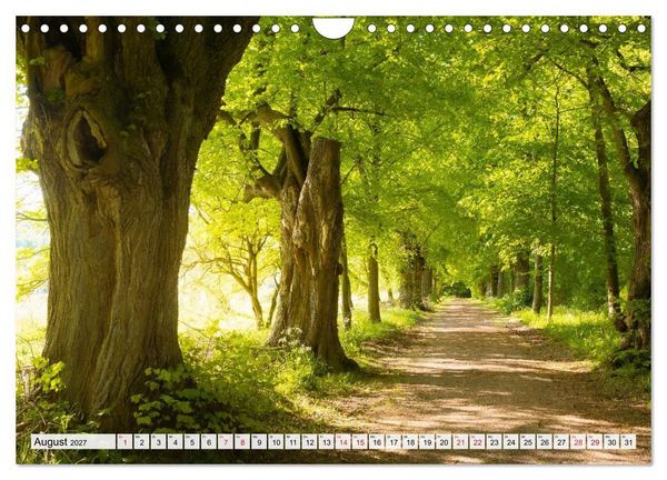 Produktbild: Willkommen im Burgenlandkreis (Wandkalender 2027 DIN A4 quer), CALVENDO Monatskalender