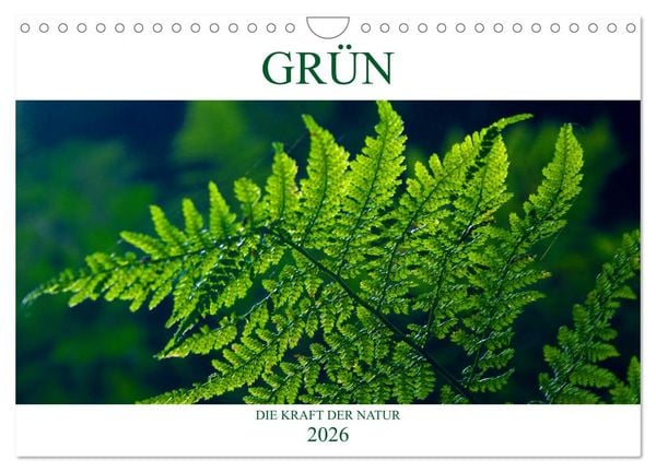 Produktbild: GR&Uuml;N . Die Kraft der Natur (Wandkalender 2026 DIN A4 quer), CALVENDO Monatskalender