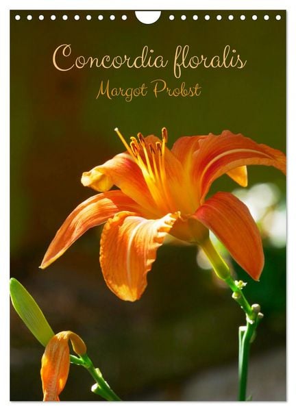 Produktbild: Concordia floralis (Calendrier mural 2026 DIN A4 horizontal), CALVENDO calendrier mensuel