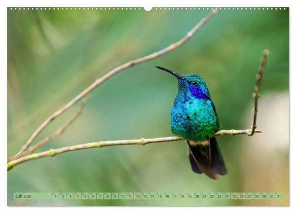 Produktbild: Tropenparadies zwischen Ozeanen Costa Rica (Wandkalender 2026 DIN A2 quer), CALVENDO Monatskalender