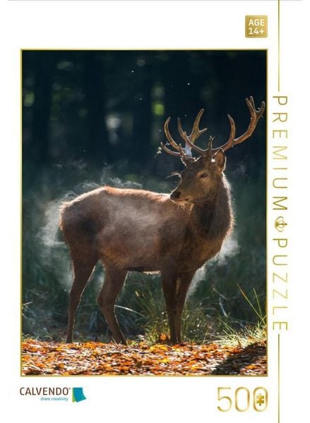 CALVENDO Puzzle Der junge Hirsch schüttelt die Herbstfeuchte aus dem Fell. | 500 Teile Lege-Größe 48 × 36 cm Foto-Puzzle für Erwachsene