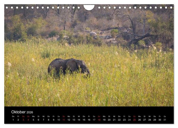 Produktbild: Wundersch&ouml;nes S&uuml;dafrika (Wandkalender 2026 DIN A4 quer), CALVENDO Monatskalender