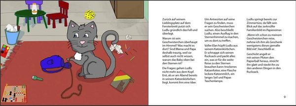 Produktbild: Trotzdem gro&szlig;er Bruder - Katerkind Ludlu besucht sein Sternengeschwisterchen