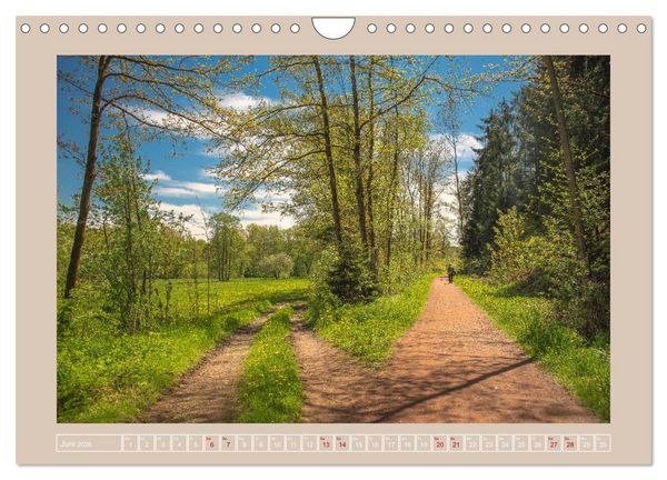 Produktbild: Vogtland - 900 Jahre Plauen (Wandkalender 2026 DIN A4 quer), CALVENDO Monatskalender