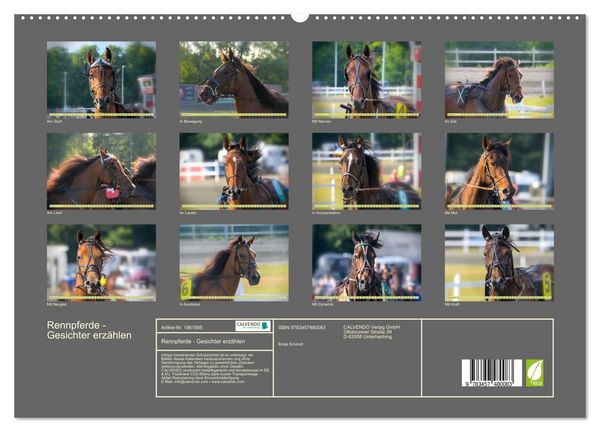 Produktbild: Rennpferde - Gesichter erz&auml;hlen (hochwertiger Premium Wandkalender 2026 DIN A2 quer), Kunstdruck in Hochglanz
